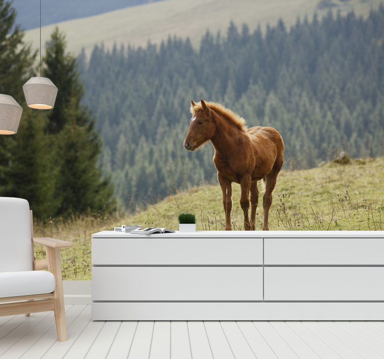 Horse in the forest wall mural - TenStickers