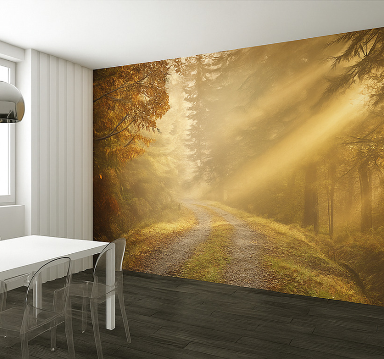 Humid forest with sunlight wall mural jungle - TenStickers