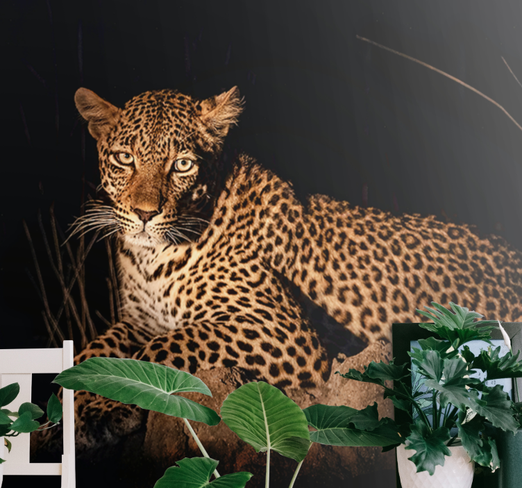 Leopard in Spotlight other wall mural animals - TenStickers