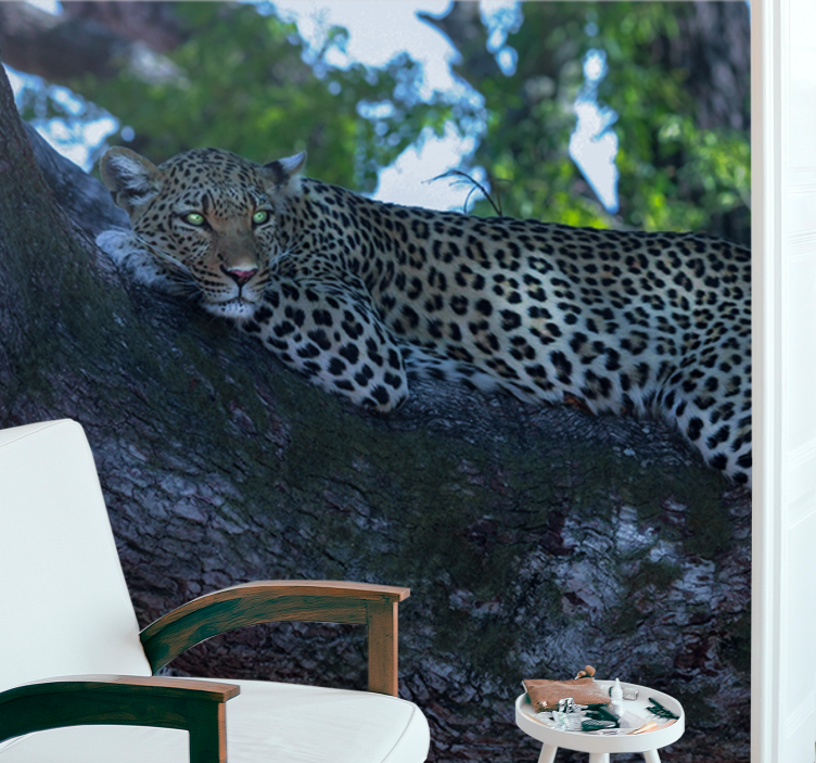 Leopard Resting Comfortably wall mural animals - TenStickers