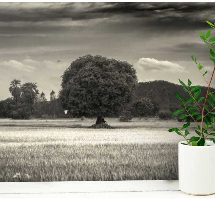 Lone Tree Landscape trees wall mural - TenStickers