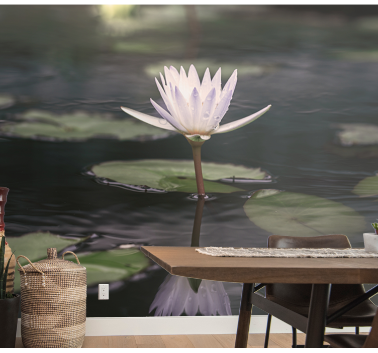 Lotus Flower Reflection flowers wall mural - TenStickers