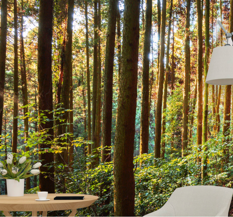 Lush green forest wall mural - TenStickers