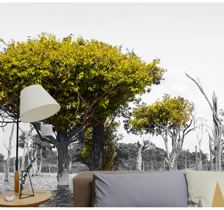 Big dry trees africa wall mural - TenStickers