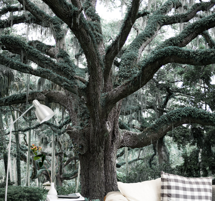 Majestic oak branches trees wall mural - TenStickers