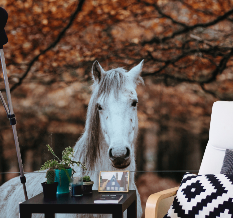 Majestic White Horse wall mural animals - TenStickers