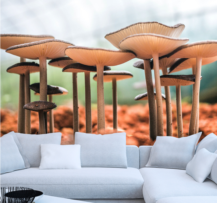 Mushroom Cluster Scene wall mural - TenStickers