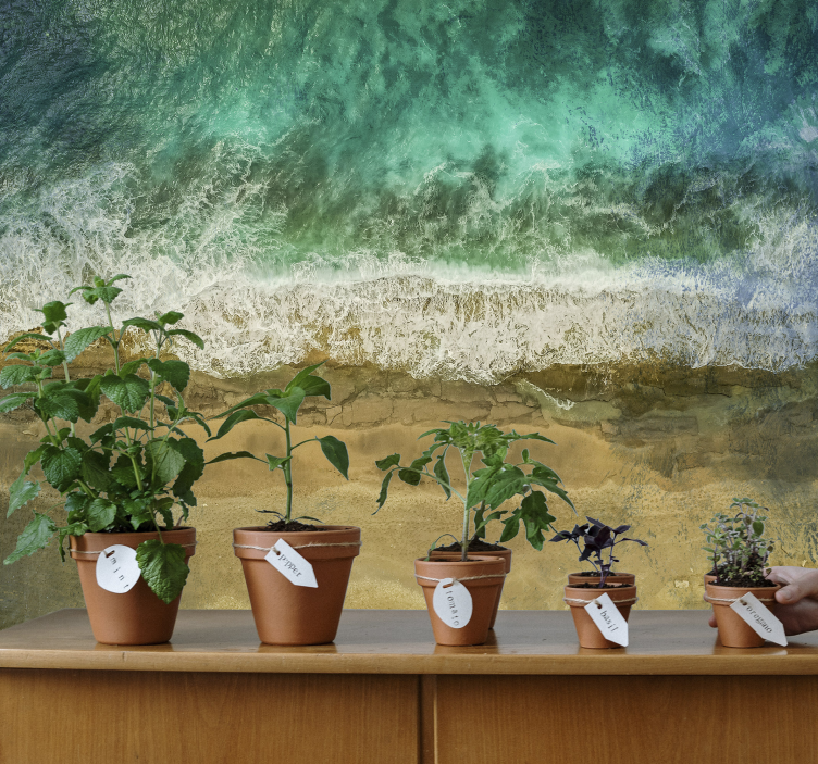 Nature wall mural coastal plant arrangement - TenStickers