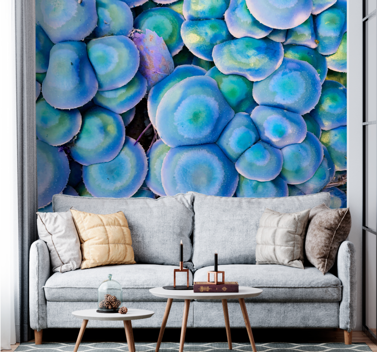 Nature wall mural colorful succulent closeup - TenStickers