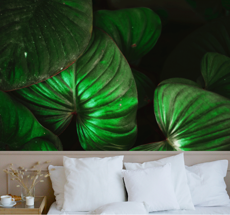 Nature wall mural lively green leaves design - TenStickers