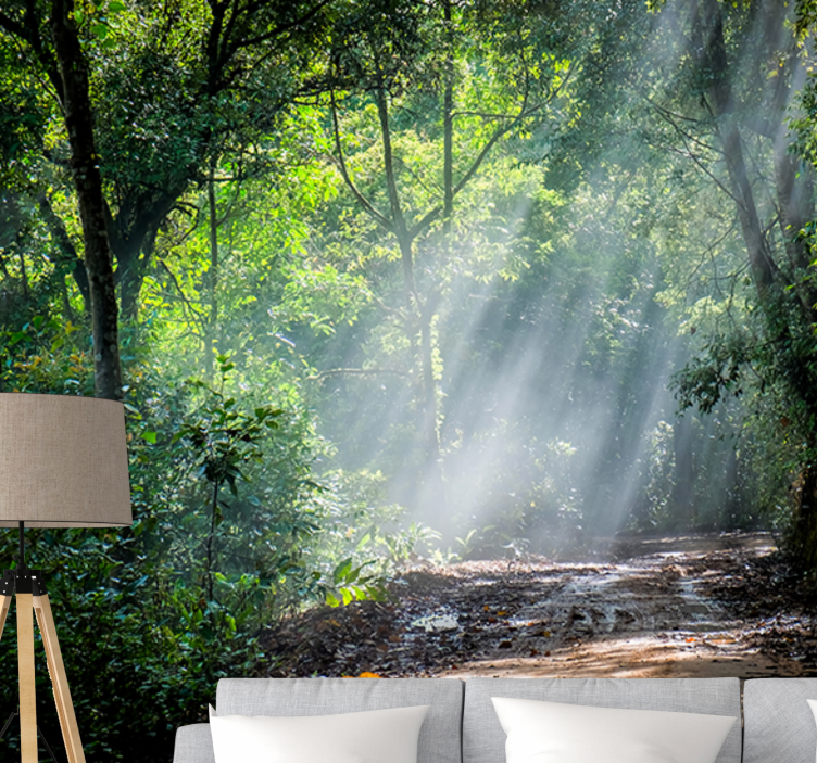 Nature wall mural luminous woodland trail - TenStickers