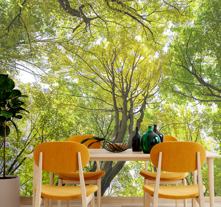 Nature wall mural lush forest canopy - TenStickers