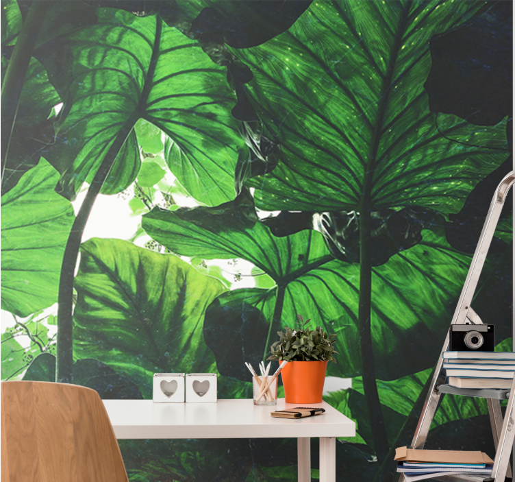 Nature wall mural lush leaf canopy - TenStickers