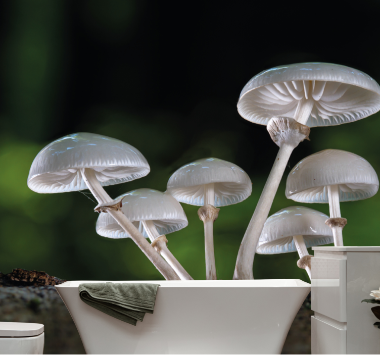 Nature wall mural mushroom cluster growth - TenStickers
