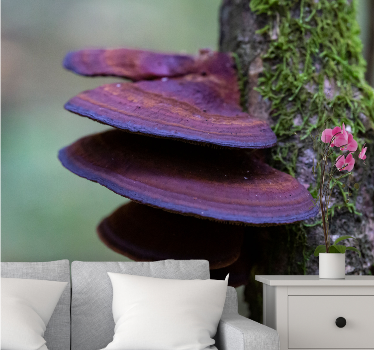 Nature wall mural mushroom growth detail - TenStickers