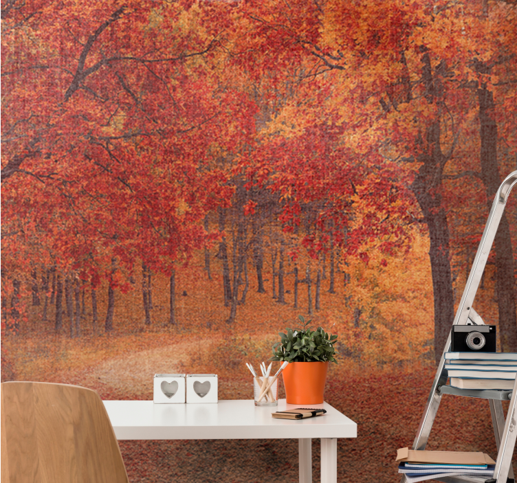 Nature wall mural rustic autumn trail - TenStickers
