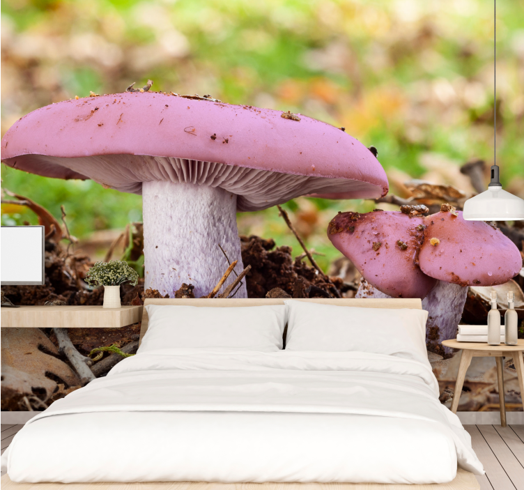 Other flowers wall mural pink mushroom cluster - TenStickers