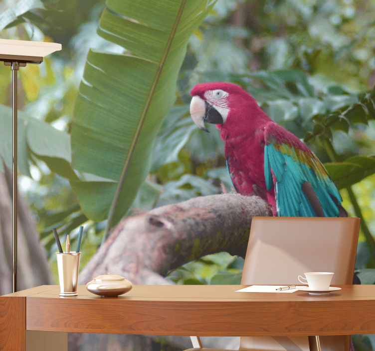 Other wall mural animals colorful macaw parrot - TenStickers