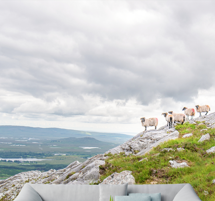 Other wall mural animals lambs on slopes - TenStickers
