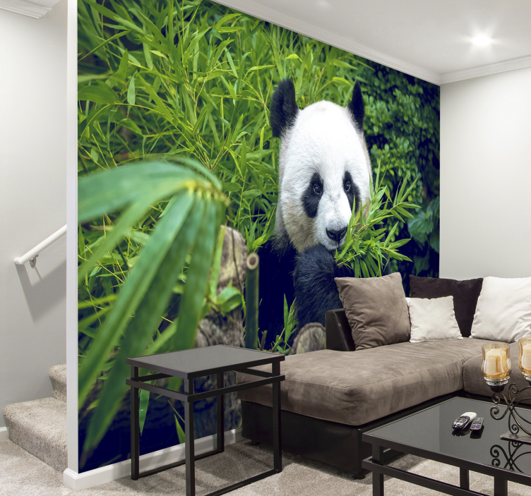 Panda Bamboo Sanctuary wall mural animals - TenStickers