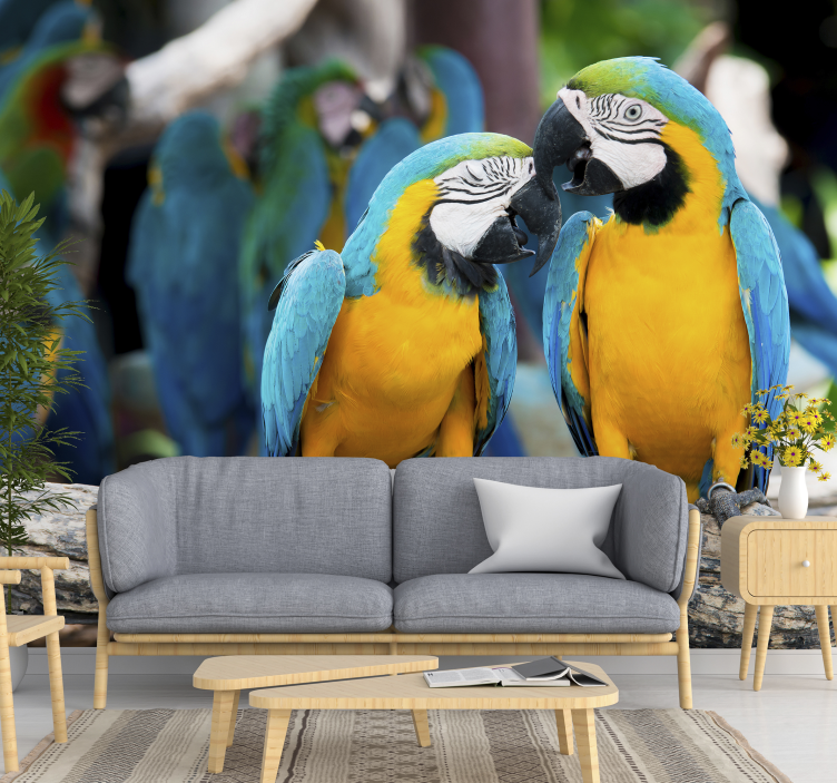 Parrot Pair Encounter wall mural animals - TenStickers