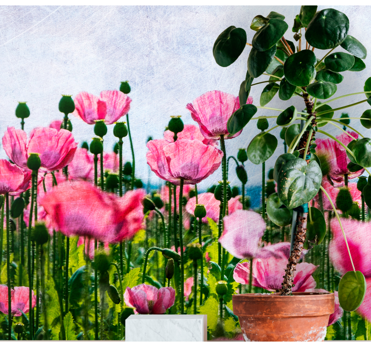 Poppies Bloom Panorama flowers wall mural - TenStickers