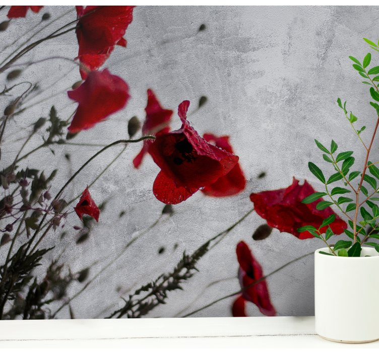 Poppy wall mural elegant red poppies - TenStickers