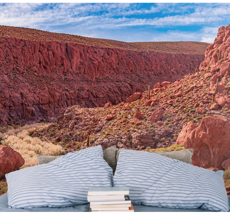 Red Desert Landscape mountain wall mural - TenStickers