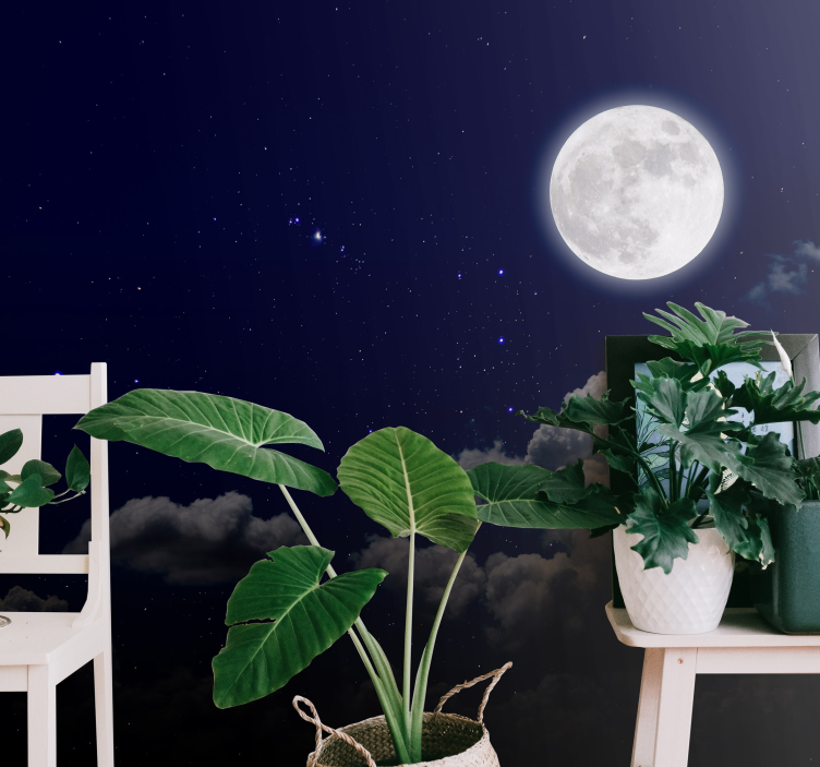 Sky mural wallpaper moonlit starry night - TenStickers