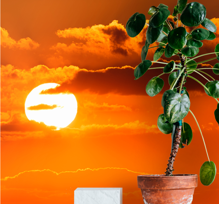 Sky mural wallpaper sunset over clouds - TenStickers