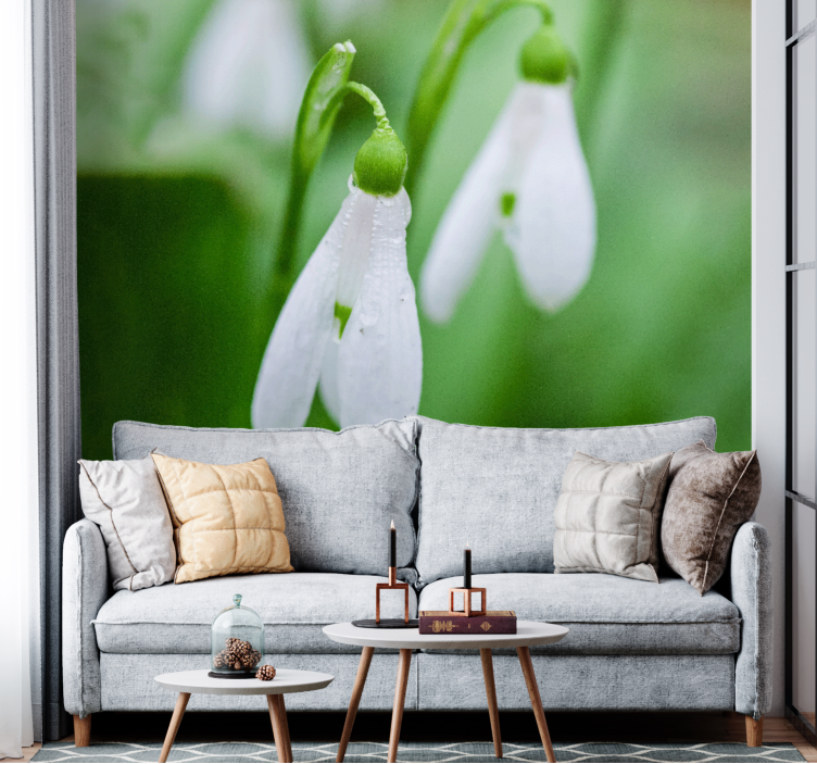 Snowdrop floral elegance flowers wall mural - TenStickers
