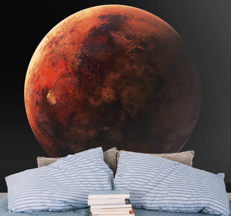 Space wall mural mars planet surface - TenStickers