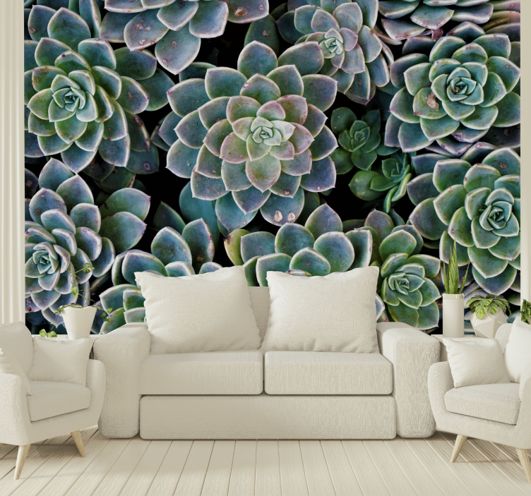 Succulent Plant Collection nature wall mural - TenStickers