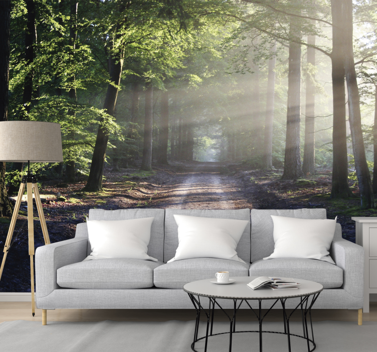 Sun lit road in a forest  wall mural - TenStickers
