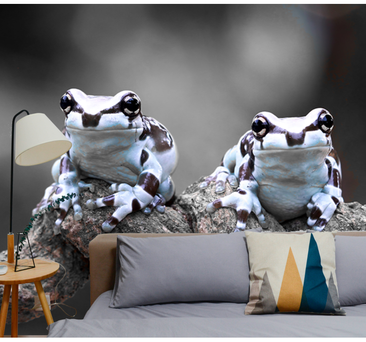 Tree Frogs Pair wall mural animals - TenStickers