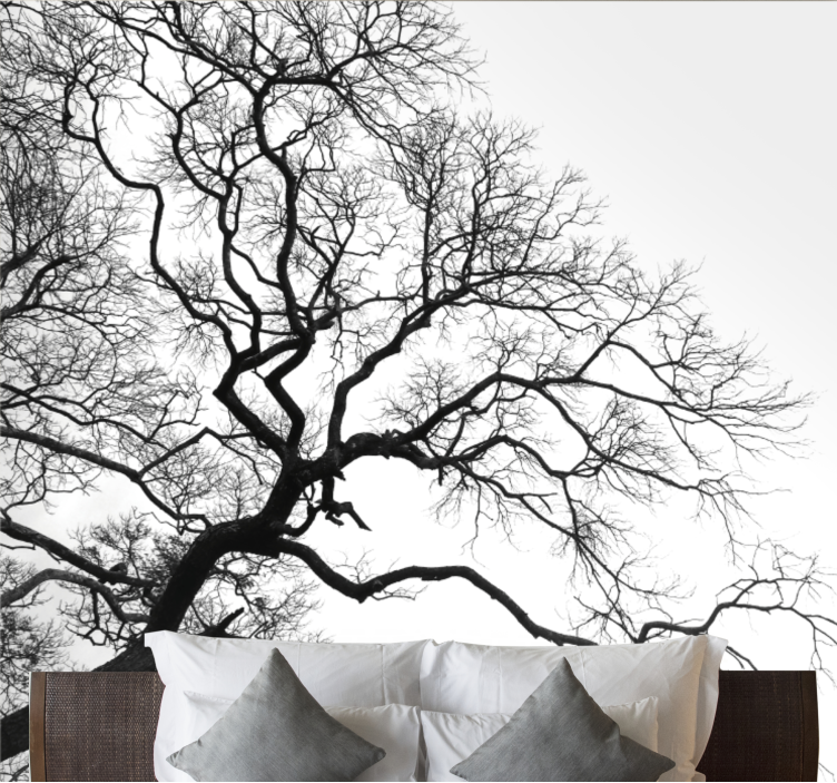 Trees wall mural leafless branches silhouette - TenStickers