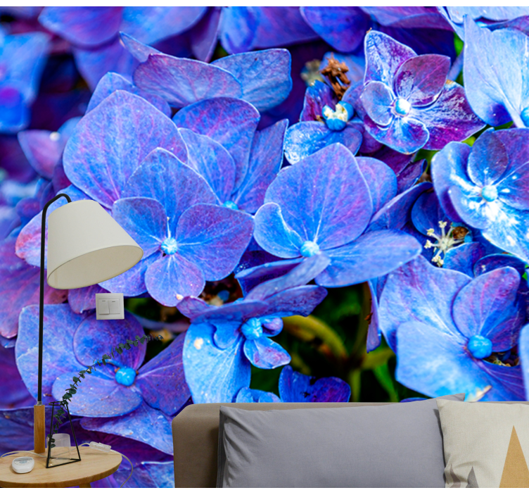 Vibrant Hydrangea Blooms flowers wall mural - TenStickers