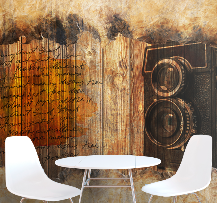 Vintage camera aesthetic wall mural painting - TenStickers