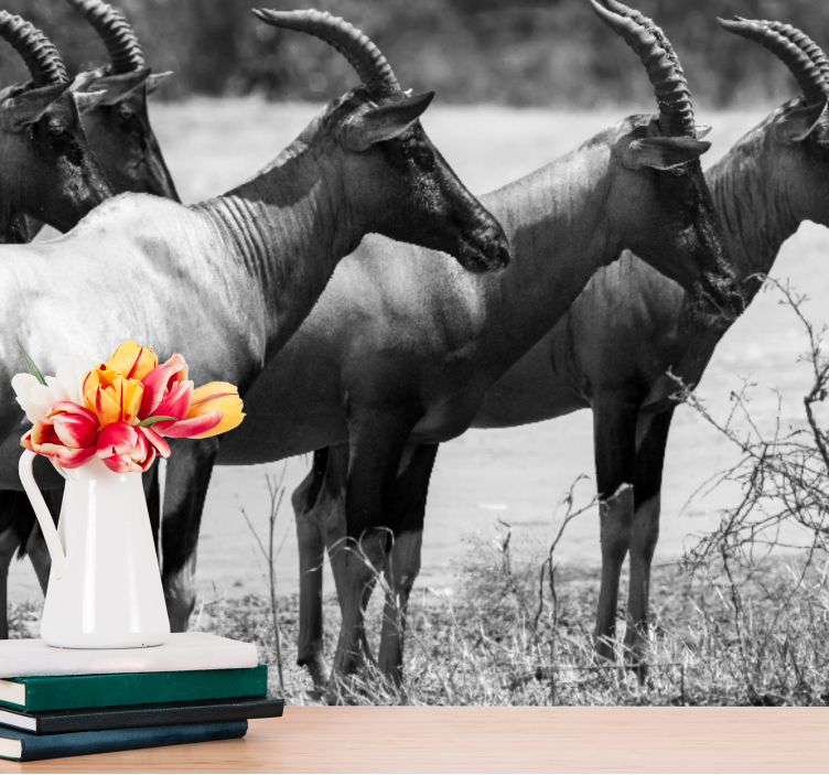 Wall mural animals african antelope herd - TenStickers