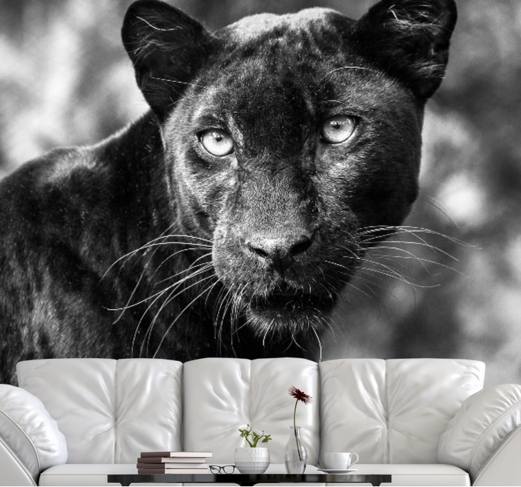 Wall mural animals black panther face - TenStickers