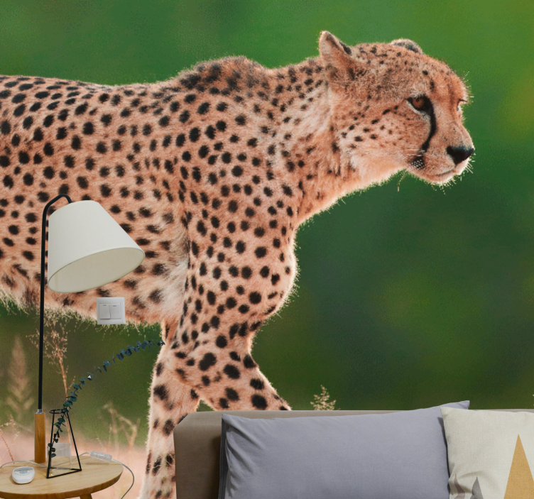 Wall mural animals cheetah in motion - TenStickers