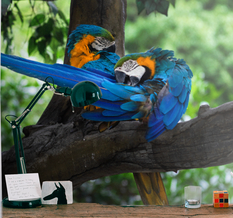 Wall mural animals colorful macaw pair - TenStickers