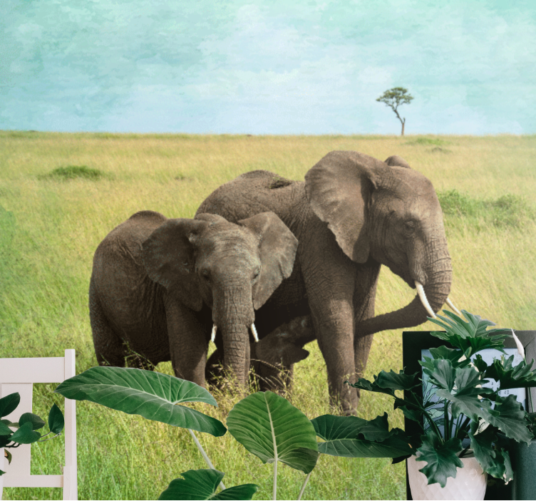 Wall mural animals elephants in grassland - TenStickers