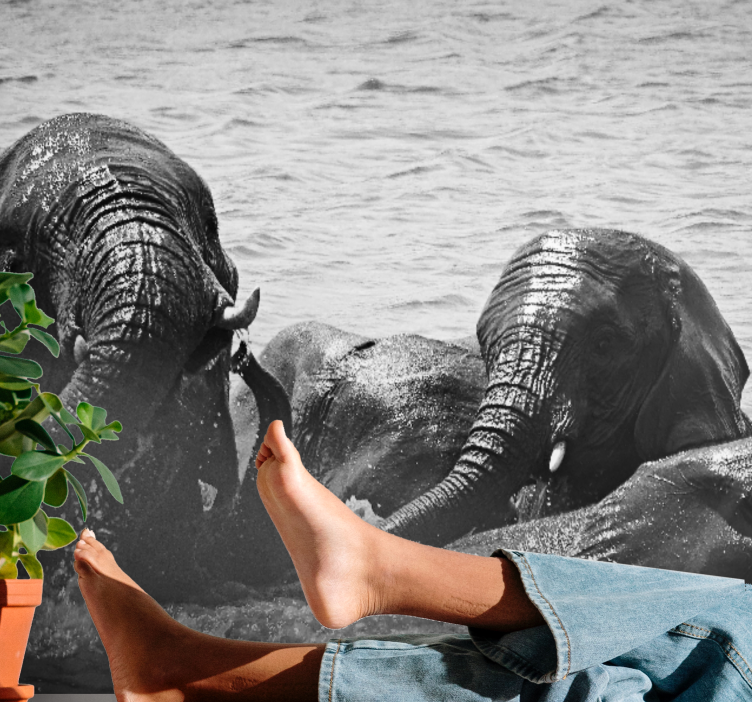 Wall mural animals elephants in water - TenStickers
