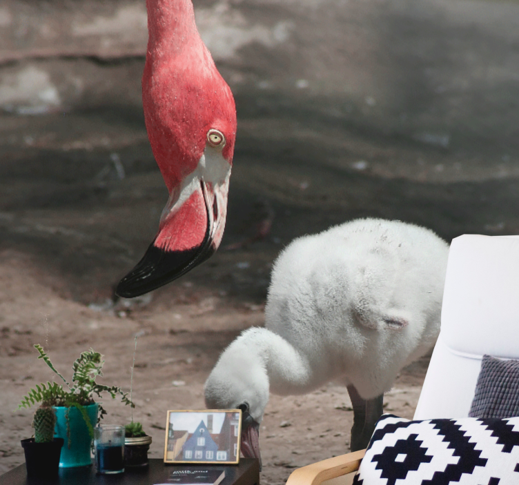 Wall mural animals flamingo chick - TenStickers