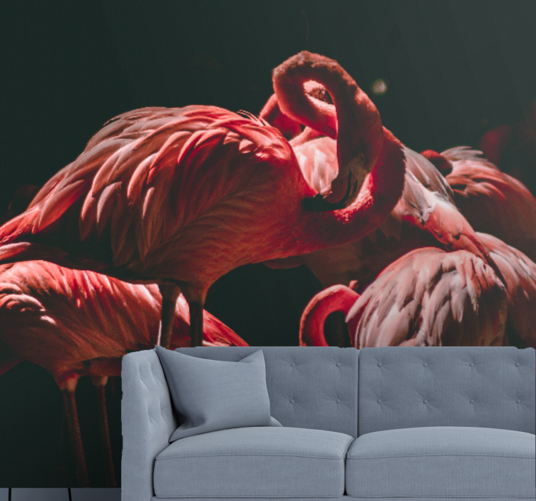 Wall mural animals flamingo tranquility - TenStickers
