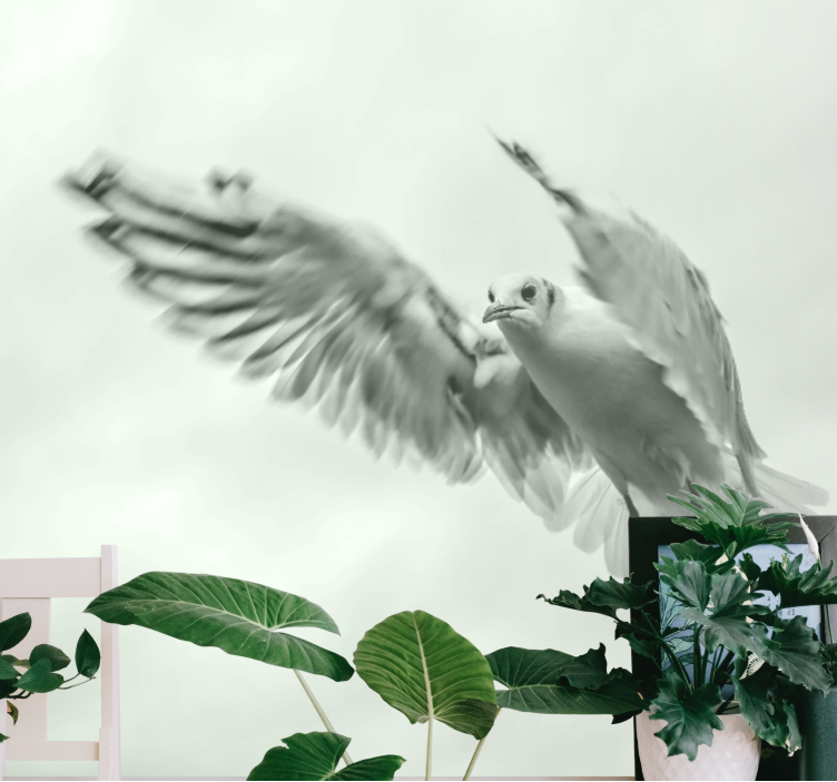 Wall mural animals flying white bird - TenStickers