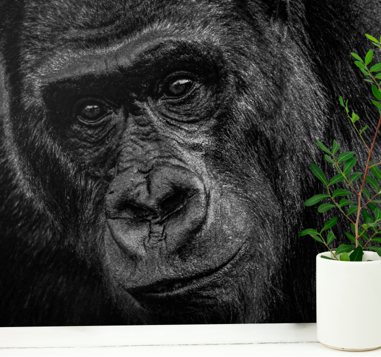 Wall mural animals gorilla close-up - TenStickers