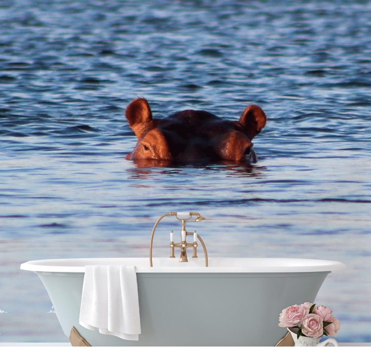 Wall mural animals hippo swimming calmly - TenStickers
