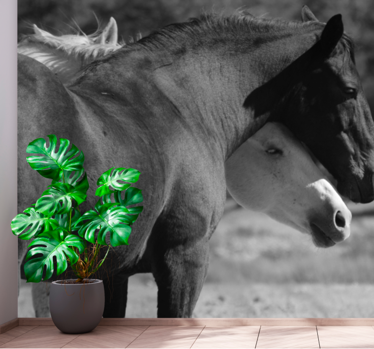Wall mural animals horse companionship - TenStickers